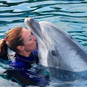 Meet your Posher, Deneke